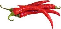 ostra czerwona papryka chili